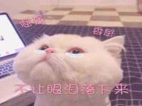 仪征市亿晟商贸有限公司