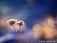 仪征市亿晟商贸有限公司