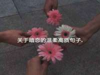 仪征市亿晟商贸有限公司