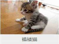 仪征市亿晟商贸有限公司