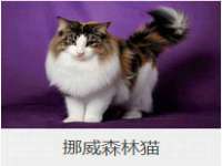 仪征市亿晟商贸有限公司