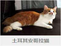 仪征市亿晟商贸有限公司