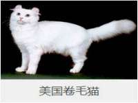 仪征市亿晟商贸有限公司