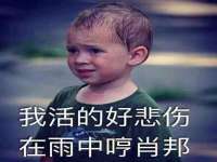 仪征市亿晟商贸有限公司