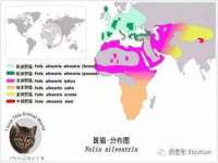 仪征市亿晟商贸有限公司