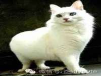 仪征市亿晟商贸有限公司
