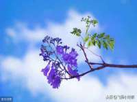 仪征市亿晟商贸有限公司