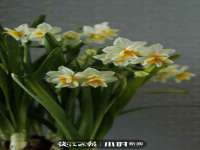 仪征市亿晟商贸有限公司