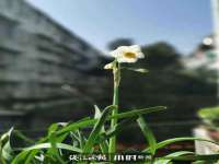 仪征市亿晟商贸有限公司