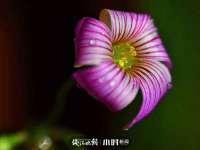 仪征市亿晟商贸有限公司