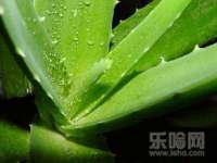 仪征市亿晟商贸有限公司