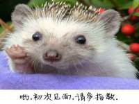 仪征市亿晟商贸有限公司