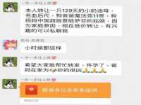 仪征市亿晟商贸有限公司