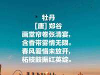 仪征市亿晟商贸有限公司