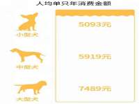 仪征市亿晟商贸有限公司