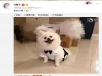 仪征市亿晟商贸有限公司
