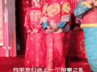 仪征市亿晟商贸有限公司