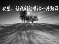 仪征市亿晟商贸有限公司