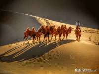 仪征市亿晟商贸有限公司