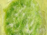 仪征市亿晟商贸有限公司