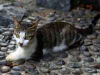 仪征市亿晟商贸有限公司